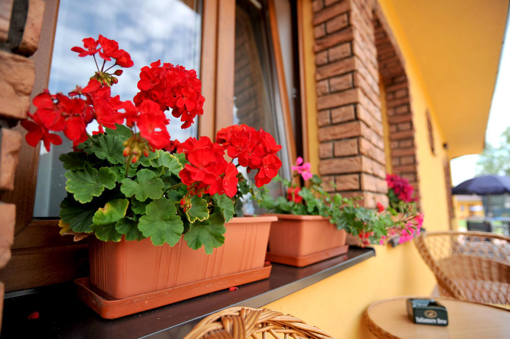 Penzion Anesis - Apartmany Turcianske Teplice Luaran gambar